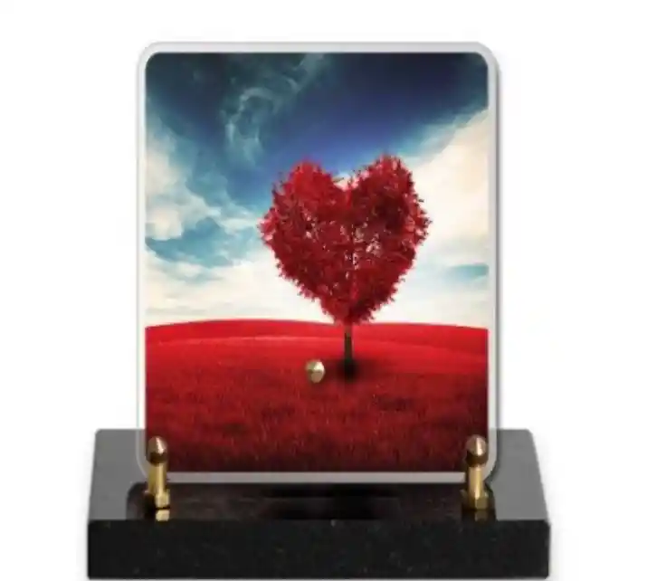 plaques-1